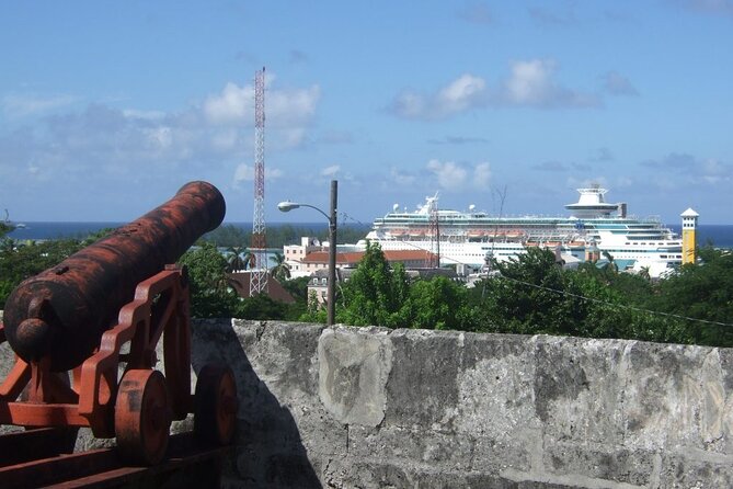 Nassau Family Friendly City Tour - Bahamas Rum Cake Factory: A Sweet, Easy Win