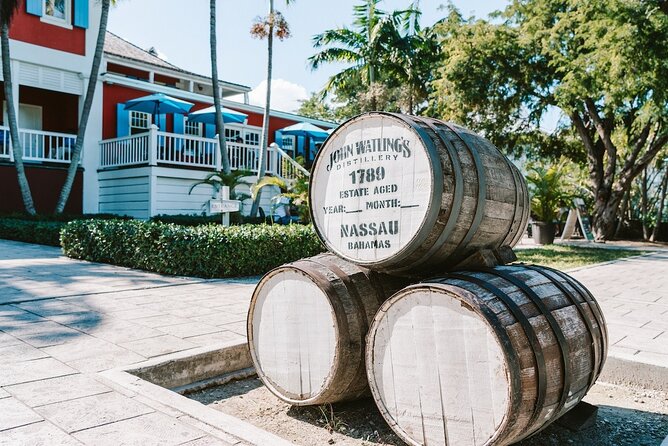 Nassau Family Friendly City Tour - Arawak Cay Fish Fry and Conch Show: Where the Tour Becomes Food
