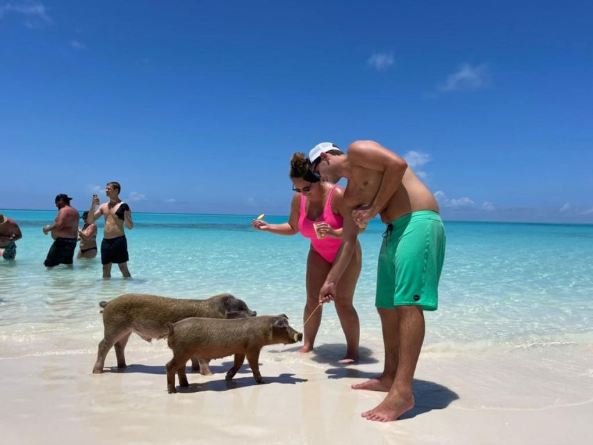 Nassau: Half-Day Guided Cay Cruise, Sea Life Watch & Snorkel - Rose Island for the final swim, easy beach time