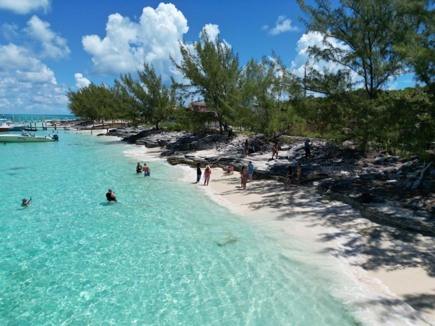 Nassau: Half-Day Guided Cay Cruise, Sea Life Watch & Snorkel - Blue Lagoon Island dolphin and sea lion viewing, with clear rules