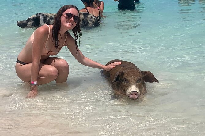 Nassau: Half Day Reef Snorkeling, Turtles & Swimming Pigs - Key highlights you’ll feel right away