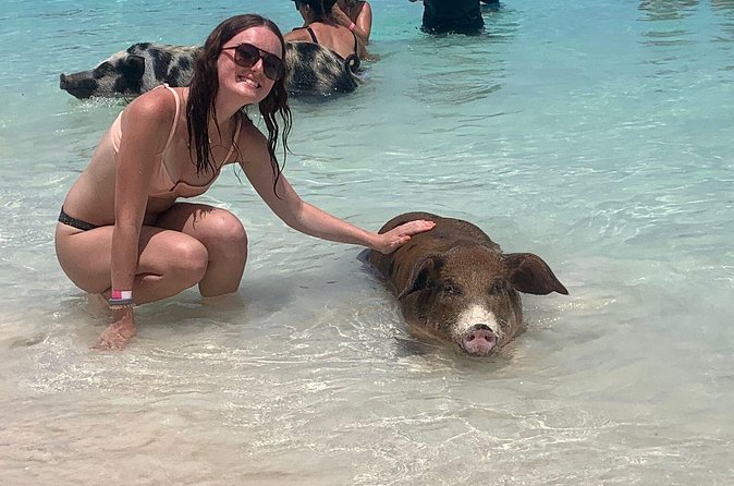 Nassau: Half Day Reef Snorkeling, Turtles & Swimming Pigs - Swimming pigs: the famous moment, with the right expectations