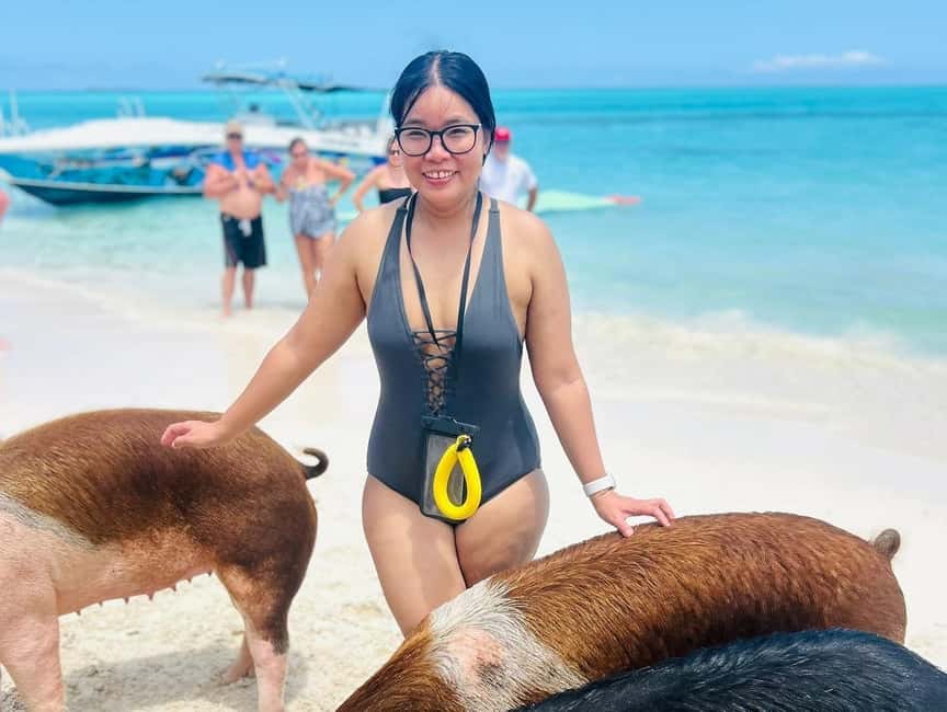 Nassau: Half-Day Swimming Pigs, Reef Snorkel & Beach Club - Half-Day Nassau: Why This Mix Works So Well