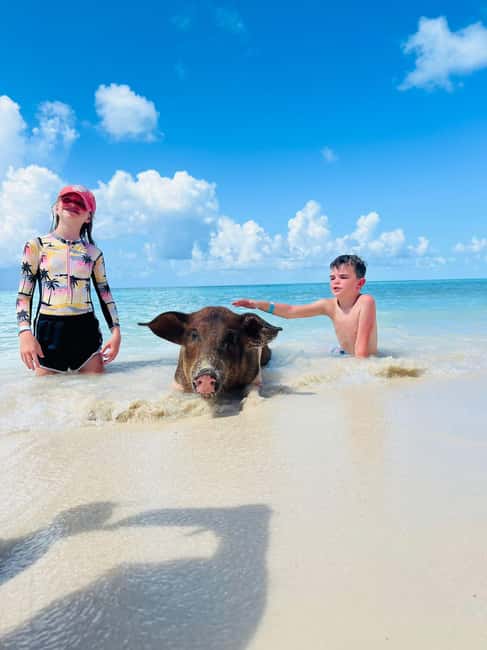 Nassau: Half-Day Swimming Pigs, Reef Snorkel & Beach Club - Athol Island Snorkeling: Clear Water and Real Reef Time