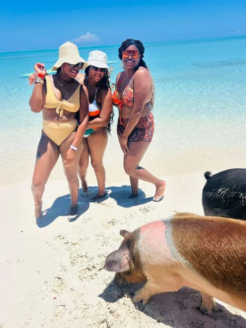 Nassau: Half-Day Swimming Pigs, Reef Snorkel & Beach Club - Who This Tour Suits Best, and Who Should Skip It