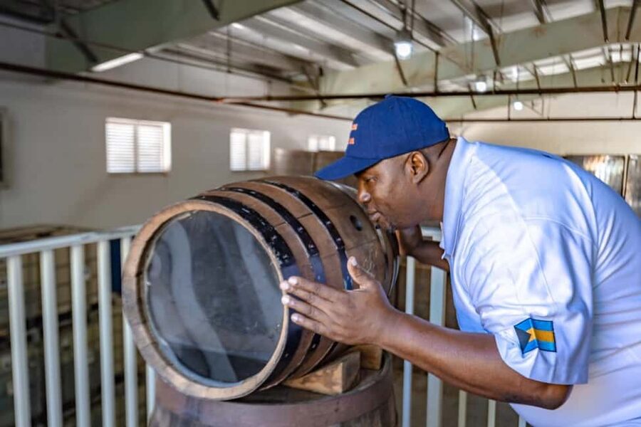 Nassau: Island Highlights Tour with Rum Tasting - Price and value: what $80 gets you on a short Nassau day