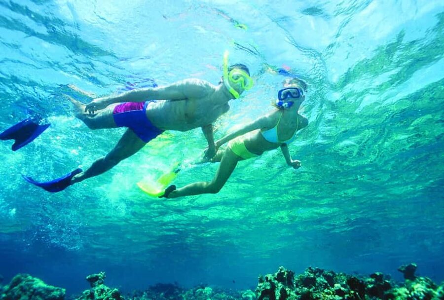 Nassau: Island Hopping Boat Trip with Lunch & Drinks - Green Cay and Sea Turtles: What to Expect From a Gentle Swim