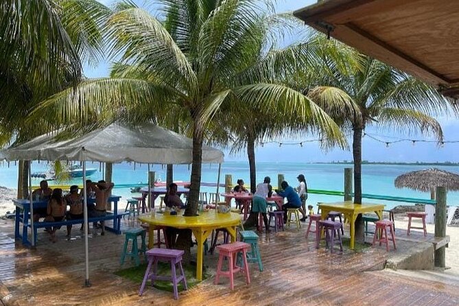 Nassau Optional Cay Hopping Tour on Rose and Pearl Island plus - Rose Island Pig Beach and White Sand: How the First Stop Works