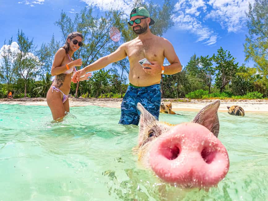 Nassau: Pigs Beach Trip by Boat with Swimming and Feeding - Logistics that can affect your day: shared boats, extra stops, and how long you’re actually out
