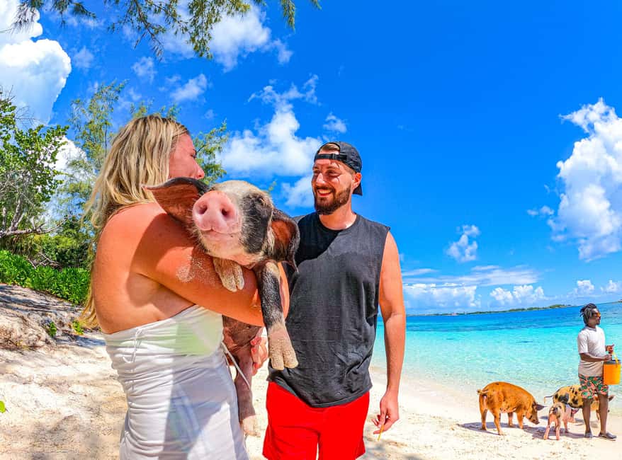 Nassau: Pigs Beach Trip by Boat with Swimming and Feeding - Should you book the Nassau Pig Beach trip with SunCay?