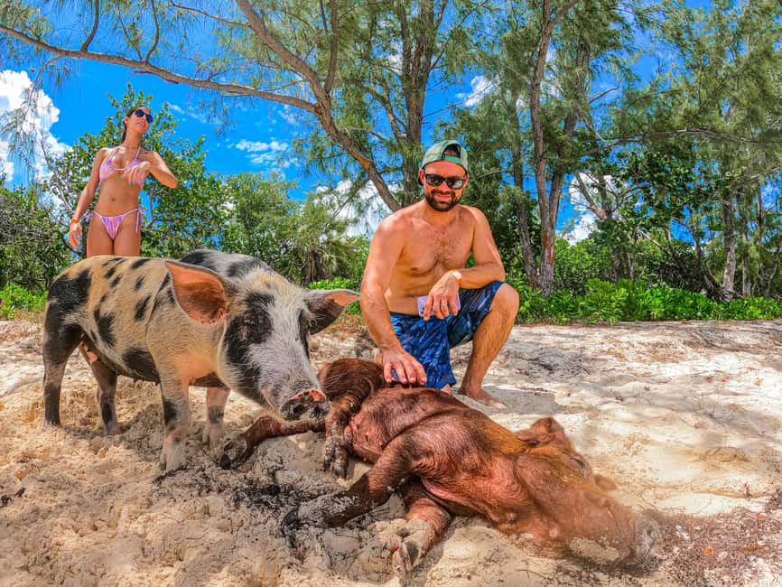 Nassau: Pigs Beach Trip by Boat with Swimming and Feeding - FAQ