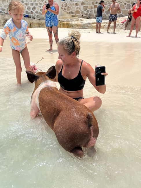 Nassau: Pigs, Snorkel, Turtles, Lunch, Private Beach Club - Meeting at Margaritaville, then getting on island time