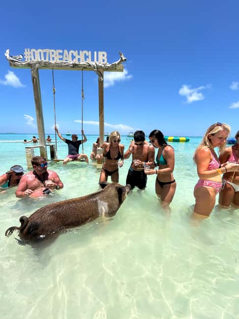 Nassau: Pigs, Snorkel, Turtles, Lunch, Private Beach Club - Snorkeling between Pearl Island and Rose Island: what you should expect