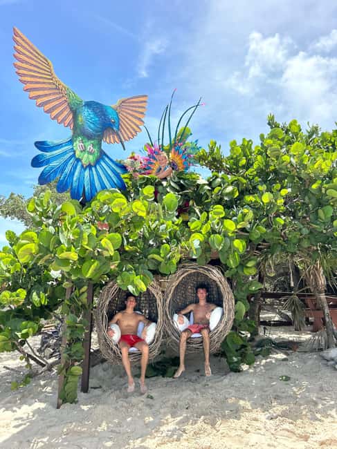 Nassau: Pigs, Snorkel, Turtles, Lunch, Private Beach Club - Green Cay turtle watching: the calm break in the day