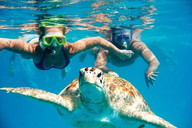 Nassau: Private Island & Snorkeling, Turtles, Drinks, & BBQ - Key highlights I’d plan around