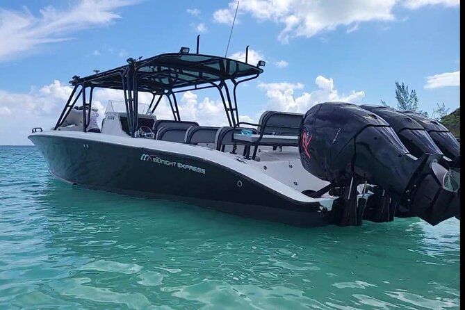Nassau: Private Island & Snorkeling, Turtles, Drinks, & BBQ - Safety and who should skip certain water activities
