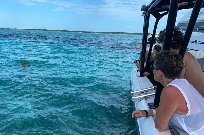 Nassau: Private Island & Snorkeling, Turtles, Drinks, & BBQ - Pearl Island snorkeling: short stop, good odds of seeing fish