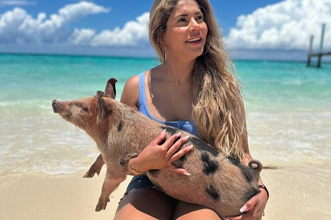 Nassau, Private Swimming Pig, Island Hopping, Snorkeling, Turtles - A Private Nassau Speedboat Circuit in About 4 Hours