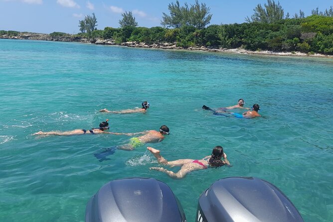 Nassau, Private Swimming Pig, Island Hopping, Snorkeling, Turtles - The Pig Island Stop: Optional Swimming Pigs and the $25 Decision