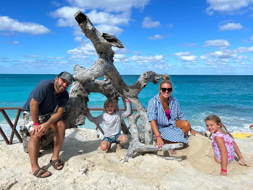 Nassau: Reef Snorkeling, Turtles, Lunch & Private Beach Club - Getting to the Right Margaritaville for Your 4-Hour Tour