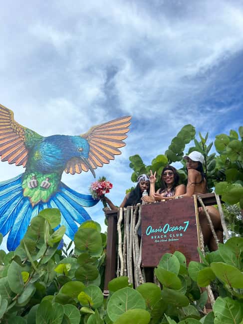 Nassau: Reef Snorkeling, Turtles, Lunch & Private Beach Club - Who This Tour Fits Best