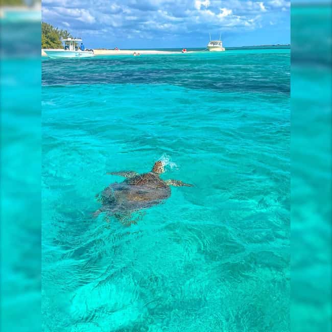 Nassau: Rose 3-Island Tour with Snorkeling and Lunch - Getting the most from the boat ride and your crew