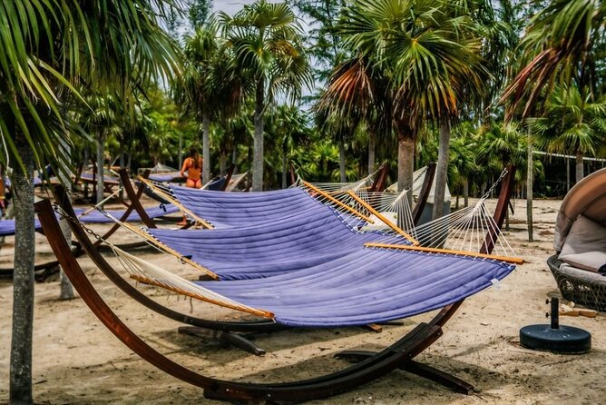 Nassau: ROSE ISLAND PERFECT BEACH DAY GROUP GETAWAY - Rose Island Observation Deck and Wildlife Spotting Time