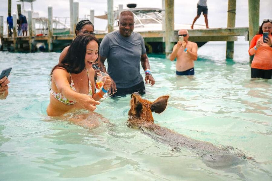 Nassau: Rose Island's Sand Dollar Beach Resort - Sand Dollar Beach Resort on Rose Island: Your Day-Base