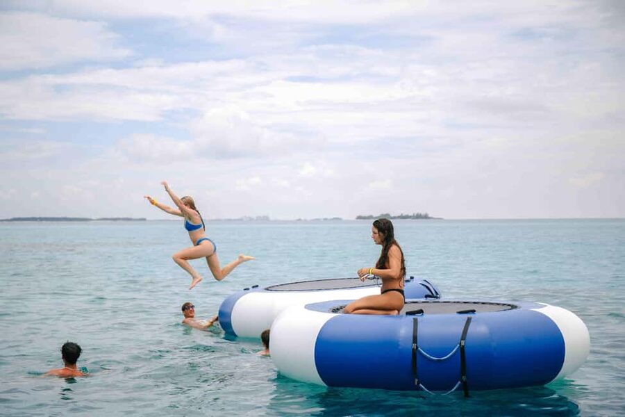 Nassau: Rose Island's Sand Dollar Beach Resort - Swimming Pigs: The Main Event, and What to Expect