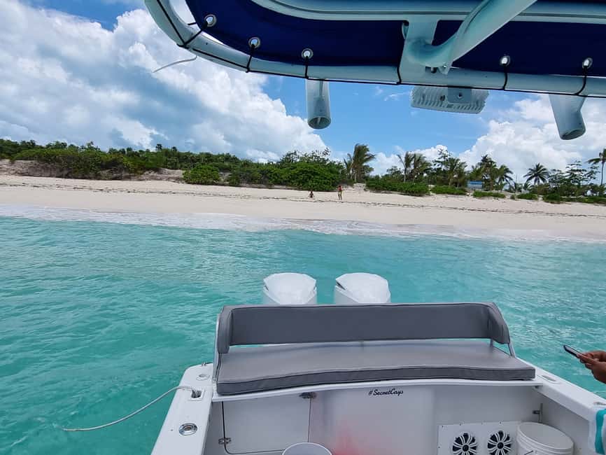 Nassau: Rose Island Swimming Pigs & Turtles Snorkeling Tour - Key highlights to expect