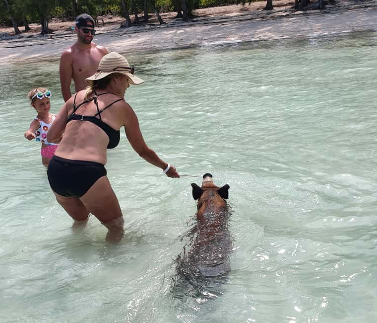 Nassau: Rose Island Swimming Pigs & Turtles Snorkeling Tour - The crew, the boat, and what small groups really change