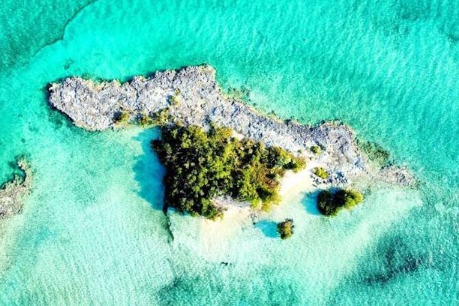 Nassau's Exclusive Kayaking Snorkeling Beach Adventure (6 Max) - Reef Snorkeling: Fish, Coral, and What Guides Help You Spot