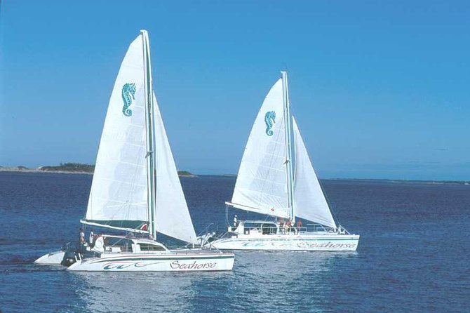 Nassau Sail & Snorkel Adventure with 1 Hour Open Bar - Athol Island Snorkeling: Gear, Safety, and Marine Life You Can Actually See