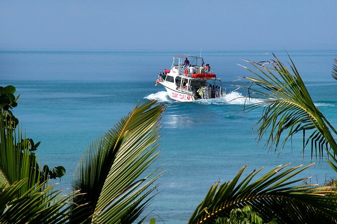 Nassau Shore Excursion: Bahamas Snorkel Adventure - Group Size, Boat Crowding, and Why It Can Affect Your Views