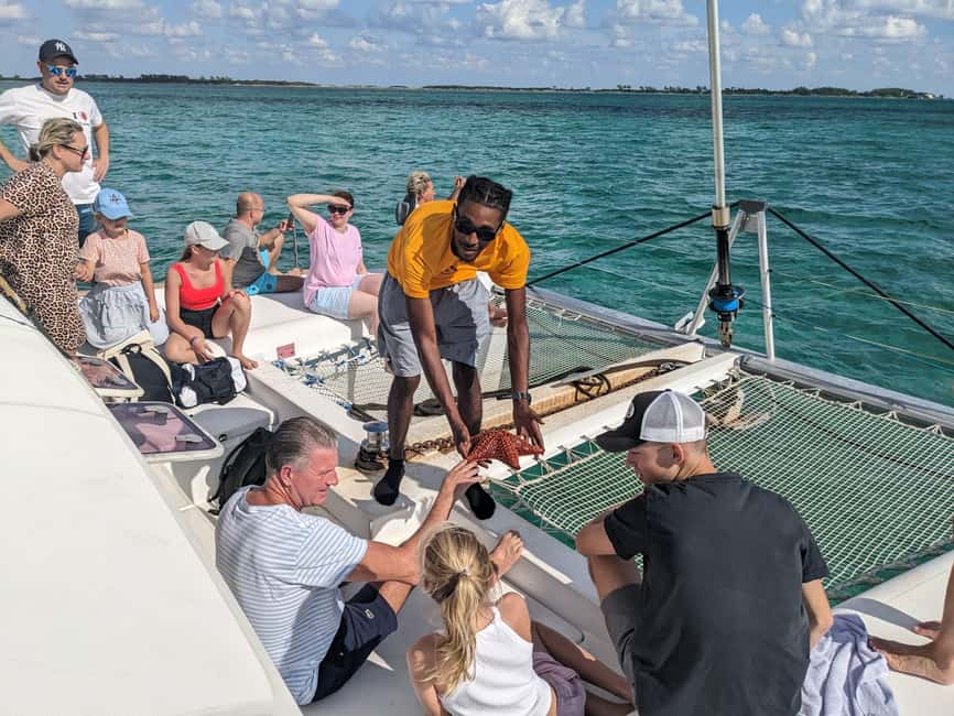 Nassau: Snorkeling, Pig Beach, Swim with Turtles, and Lunch - The catamaran setup: comfort that matters once you’re on island time