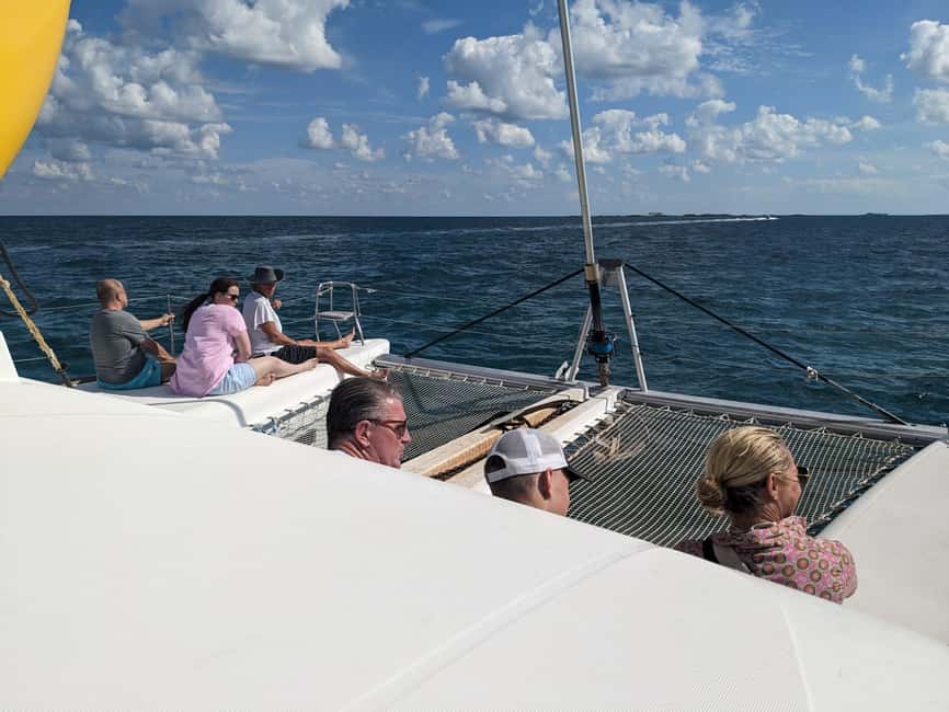 Nassau: Snorkeling, Pig Beach, Swim with Turtles, and Lunch - Turtle bay snorkeling: the payoff for patient swimmers