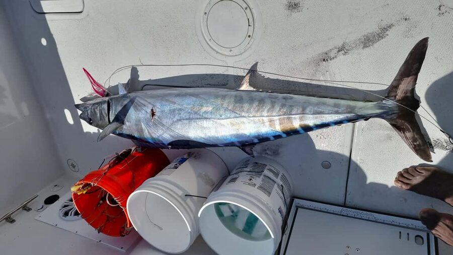 Nassau: Sport-fishing private charter . - The Included Setup That Makes This Feel Like a Full Package