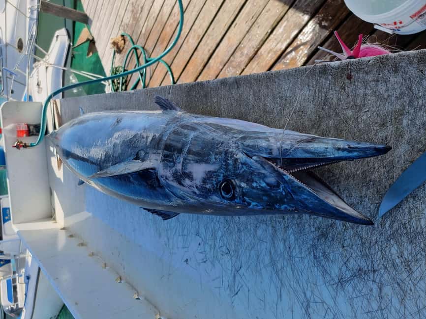 Nassau: Sport-fishing private charter . - Who This Nassau Charter Fits Best