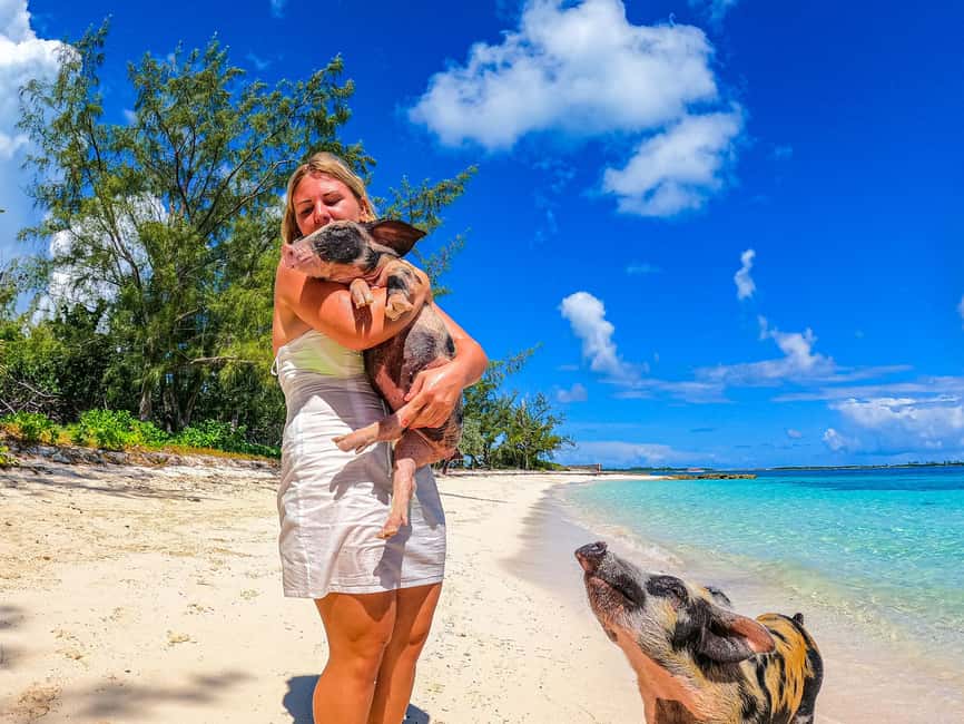 Nassau: Sun Cay and Swimming Pigs Boat Trip with Lunch - Price Check: Is $179 Worth It in Nassau?