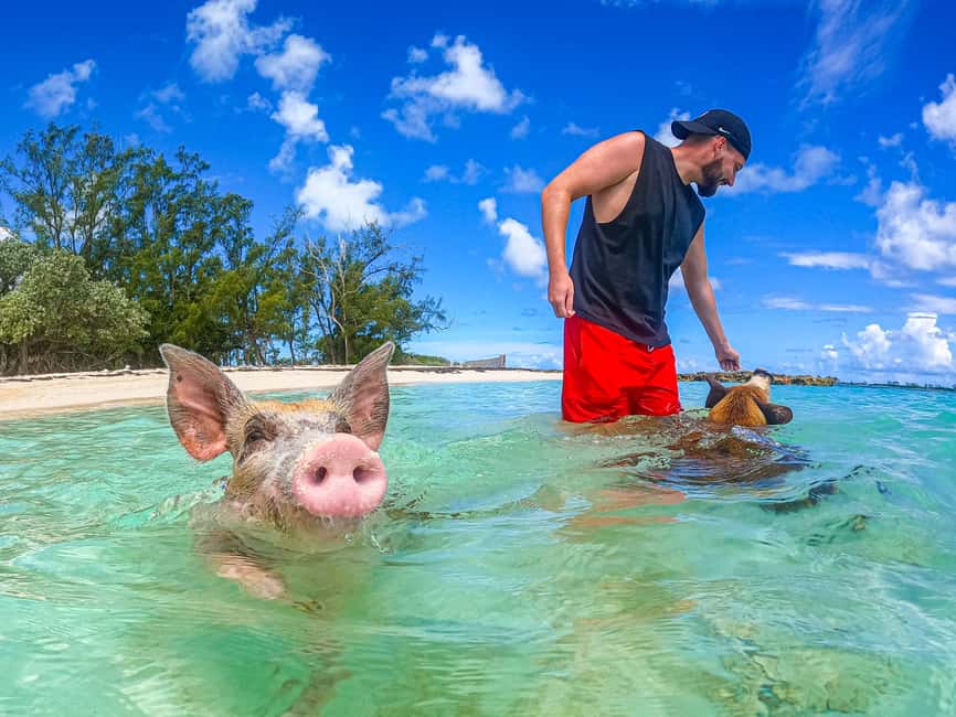 Nassau: Sun Cay and Swimming Pigs Boat Trip with Lunch - From Nassau to Sun Cay, Why This Day Feels Easy