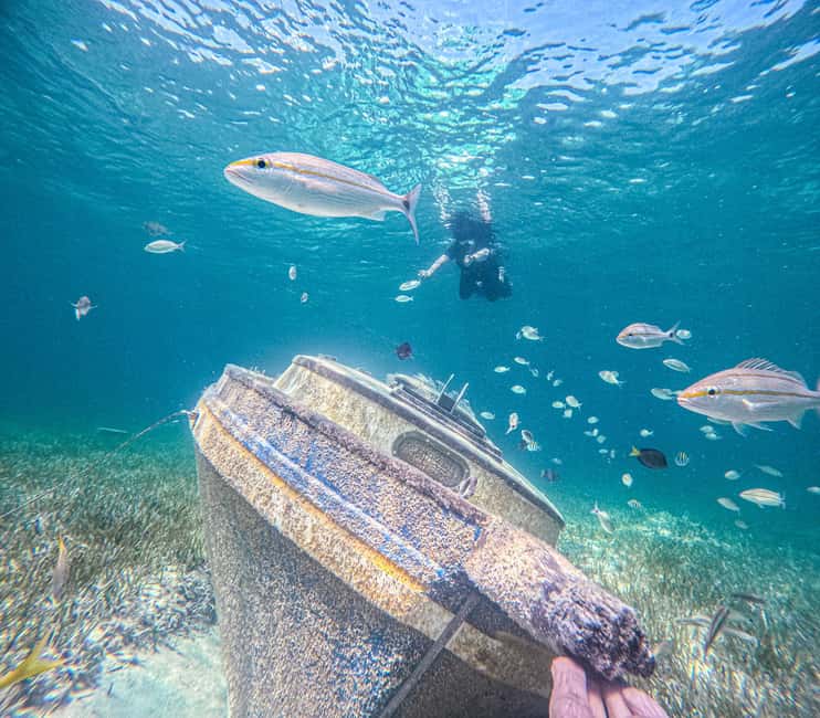 Nassau: Sun Cay Day Trip, Snorkel, Iguana Encounter, & Lunch - Iguana Habitat: a guided encounter that’s short, but worth it