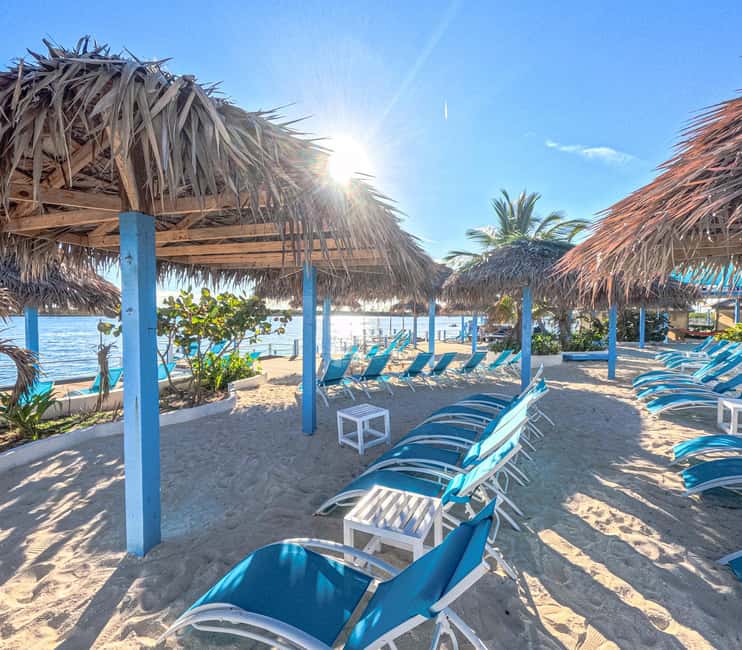 Nassau: Sun Cay Day Trip, Snorkel, Iguana Encounter, & Lunch - Transportation fit and timing: why the 5 hours can feel short