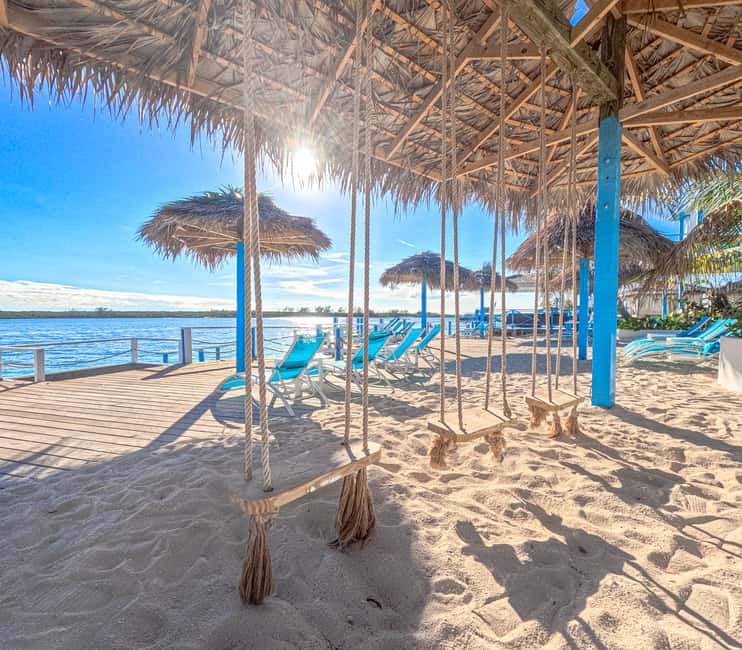 Nassau: Sun Cay Day Trip, Snorkel, Iguana Encounter, & Lunch - Underwater sculptures, shipwrecks, and an airplane you can swim near
