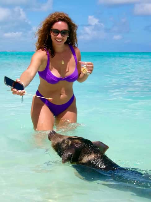 Nassau: Swimming Pigs and Private Beach Club Trip with Lunch - Key Points at a Glance