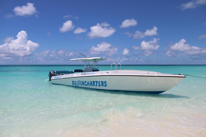 Nassau: Swimming Pigs And Snorkel With Turtles - How this Nassau half-day really plays out