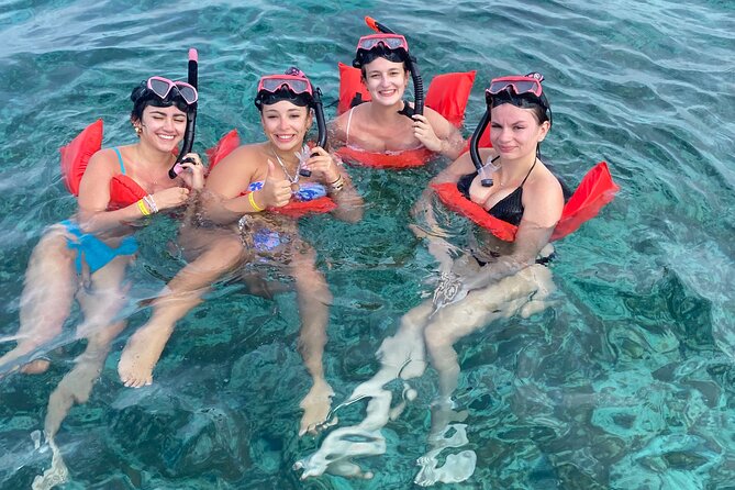 Nassau: Swimming Pigs And Snorkel With Turtles - Timing, weather, and why the half-day format can be tricky