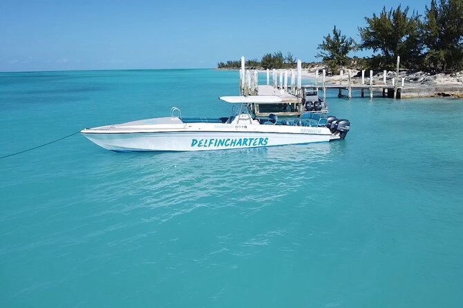 Nassau: Swimming Pigs And Snorkel With Turtles - Should you book this Nassau tour?