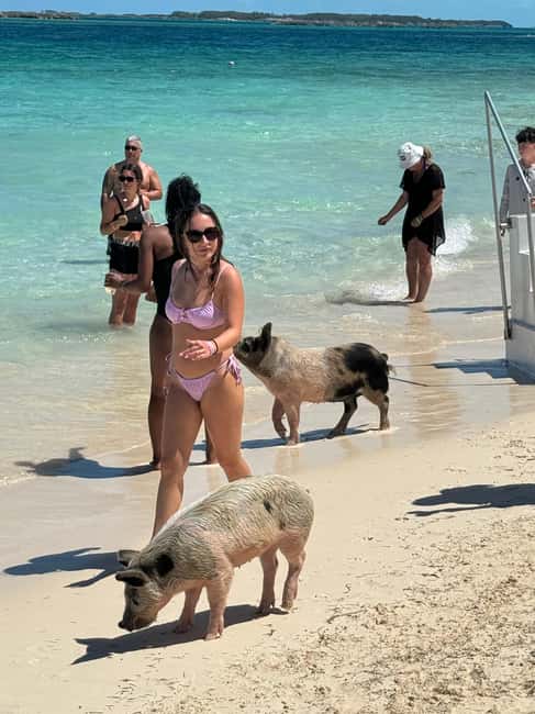 Nassau: Swimming Pigs and Turtles Boat Tour with Snorkeling - Why South Andros is such a strong pick for pigs, reef time, and turtles