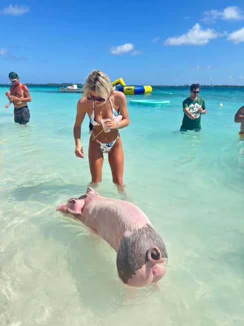 Nassau: Swimming Pigs and Turtles Boat Tour with Snorkeling - Who this tour is best for, and who should reconsider