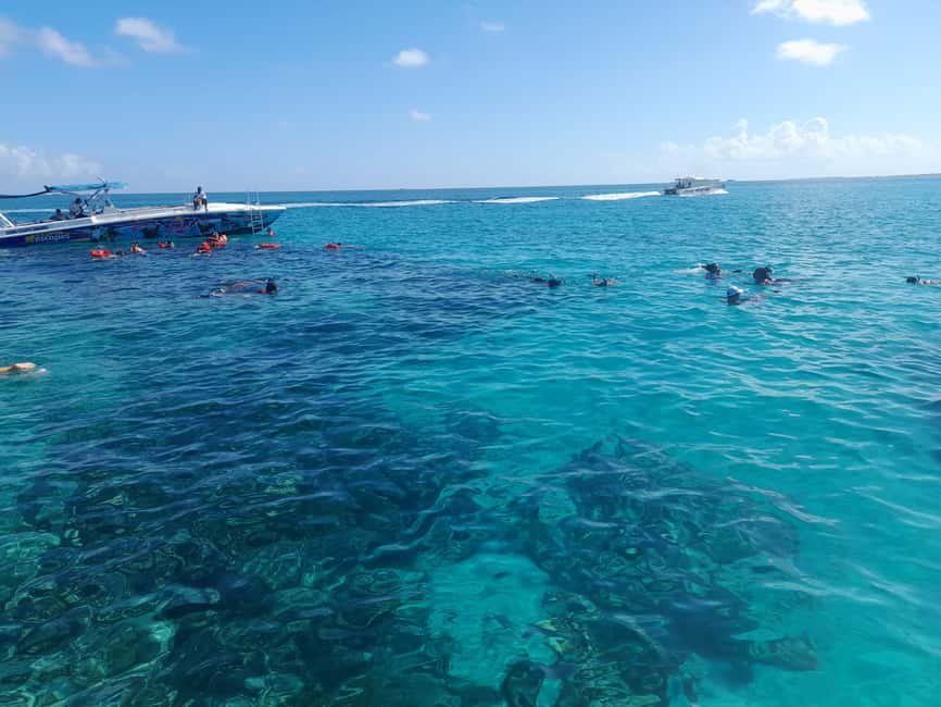 Nassau: Swimming Pigs Private Boat Tour - Up to 7 Persons - Key highlights you will actually care about